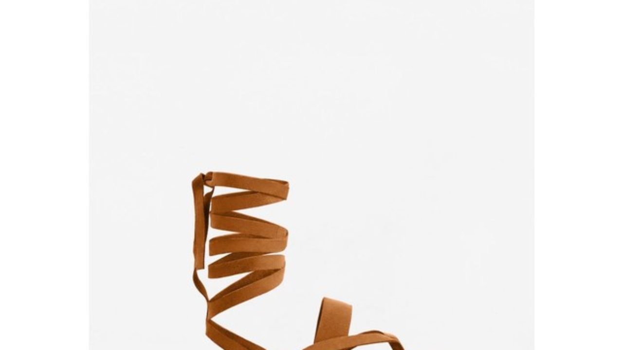 spartiate marron